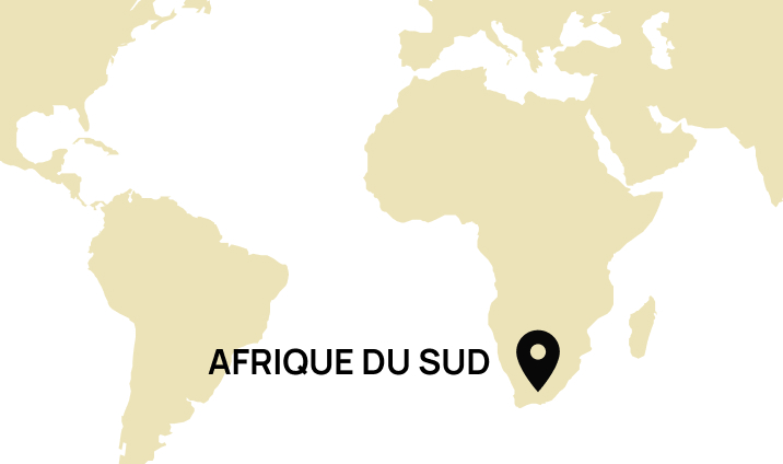 Origine Afrique du Sud